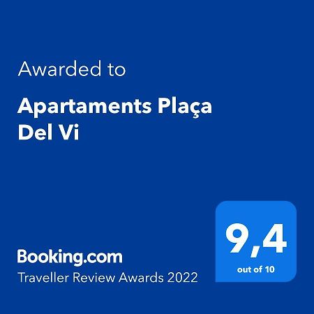 Apartaments Placa Del VI Χιρόνα Εξωτερικό φωτογραφία
